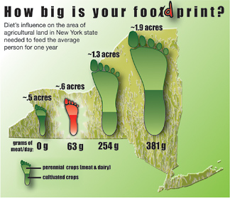 foodprint graphic
