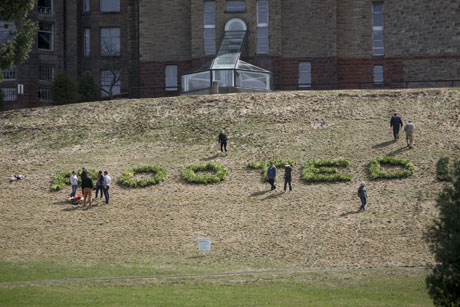 students planting on slope