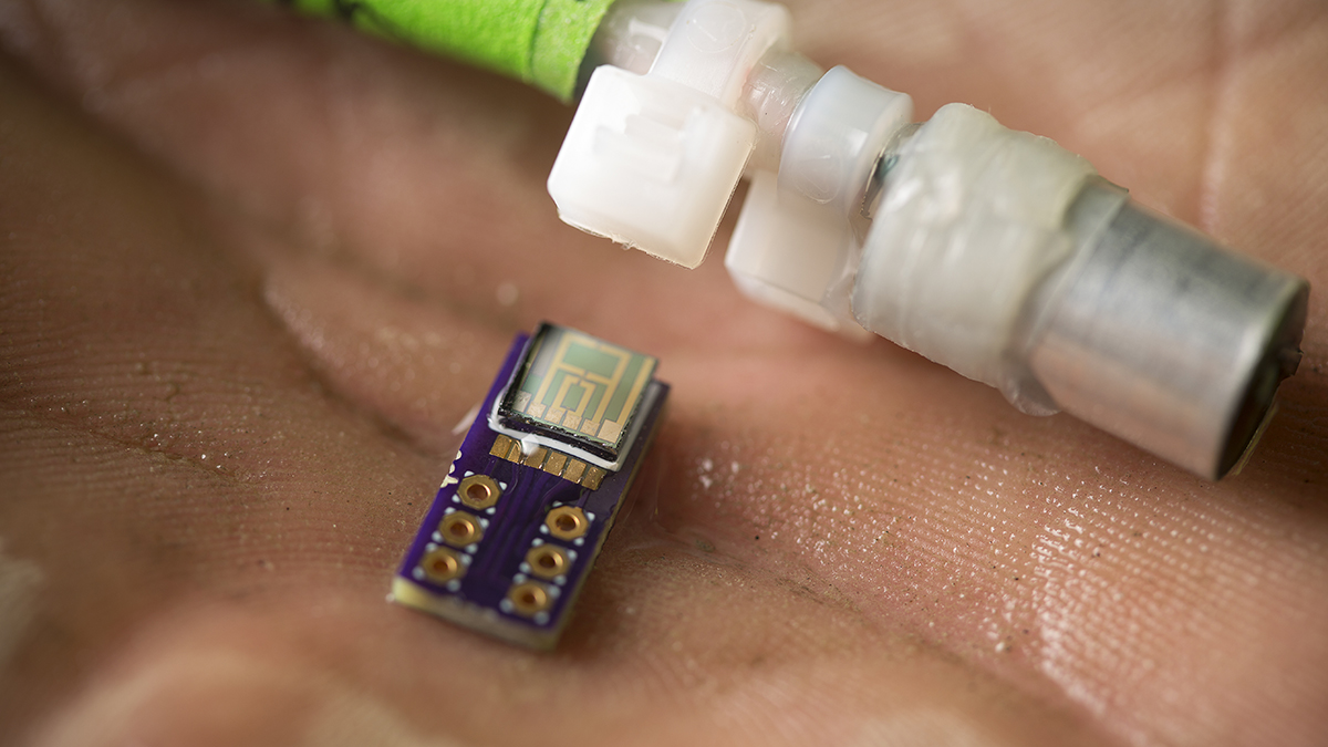 Water sensor moves from basic research to promising business | Cornell  Chronicle