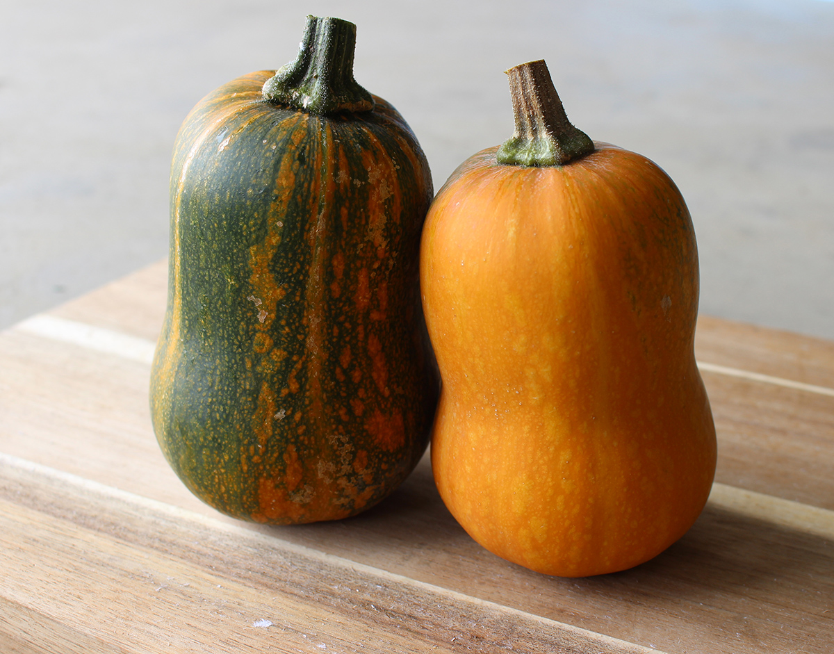 How To Tell When Butternut Squash Is Ripe