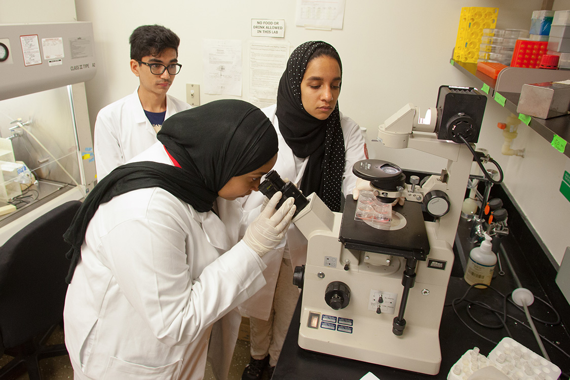 Qatar students looking into a microscope