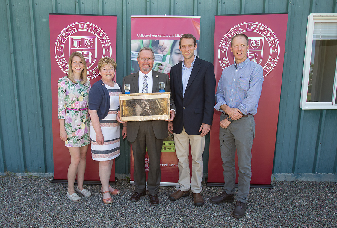 Cornell bee researchers, dean and DEC commissioner