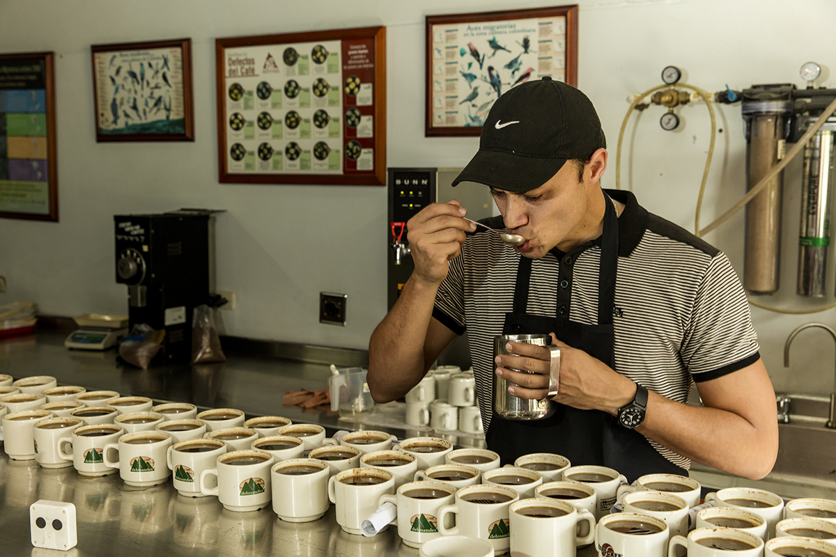 Coffee tester in Colombia