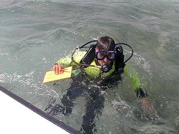 junior Josiah Penlaver emerges from Caribbean waters