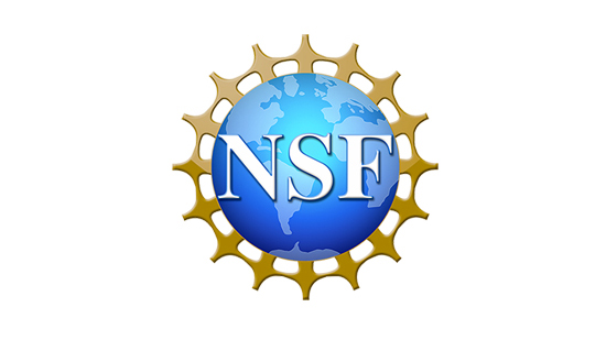 Thirteen early-career professors win NSF development awards