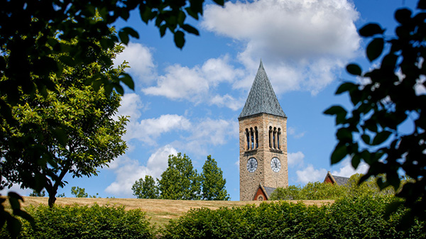 Cornell campus in the summer