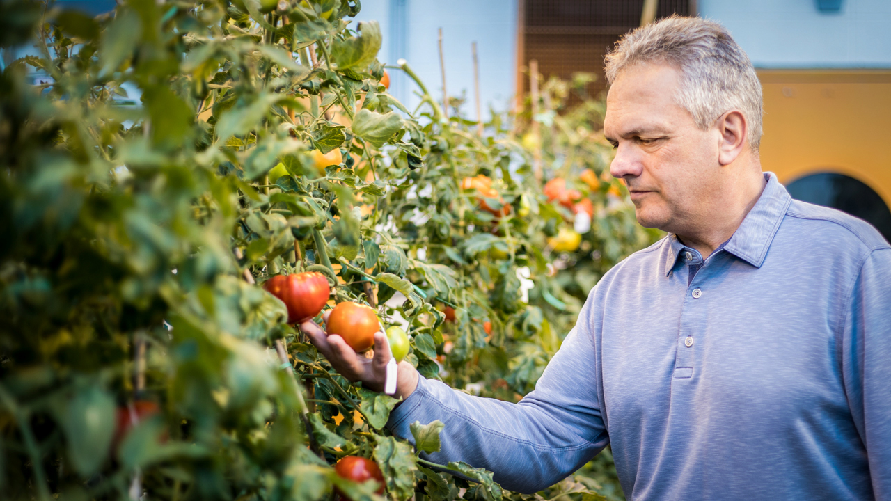1019_tomato.jpg