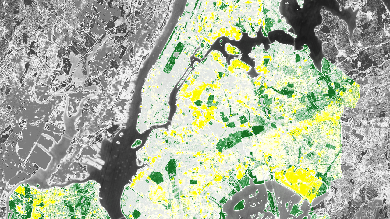 NYC vegetation map