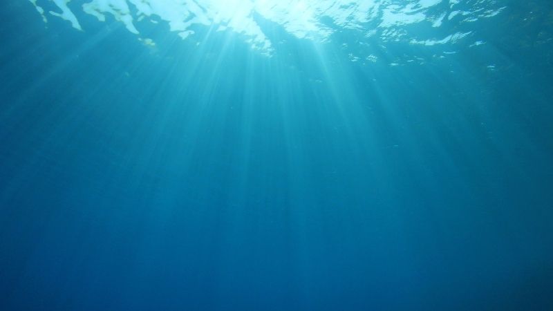 underwater looking upwards to the sun