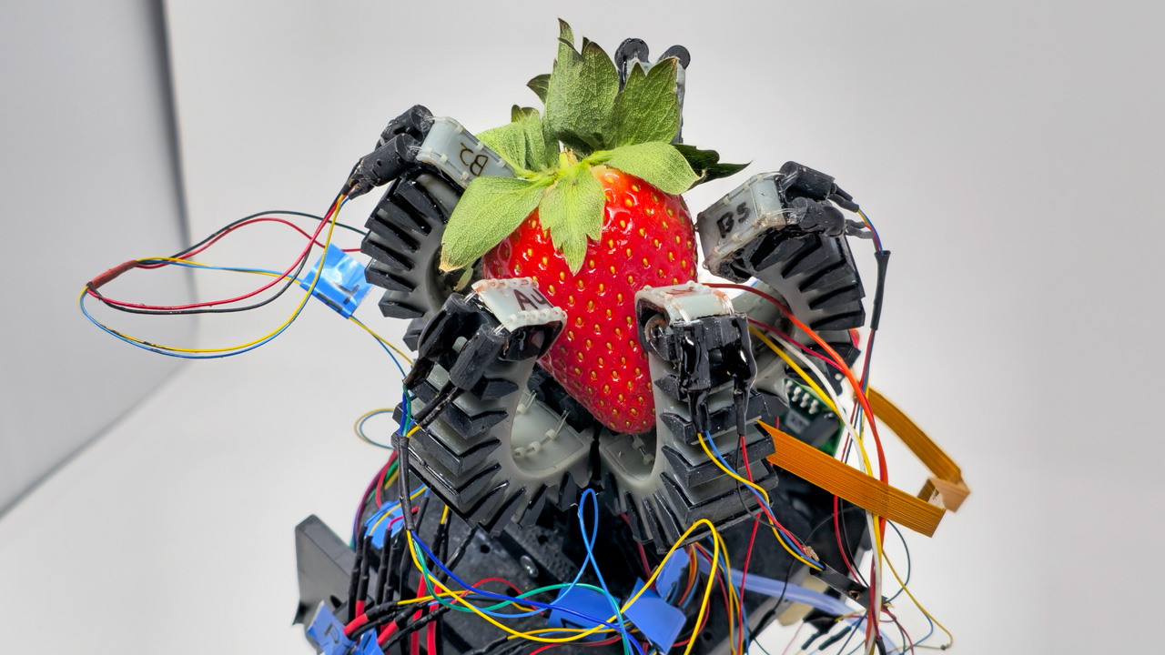 This soft-gripping technology, developed in the Organic Robotics Lab, could lead to more resilient and ecological food production and increase the availability of fruit species that are difficult to cultivate.