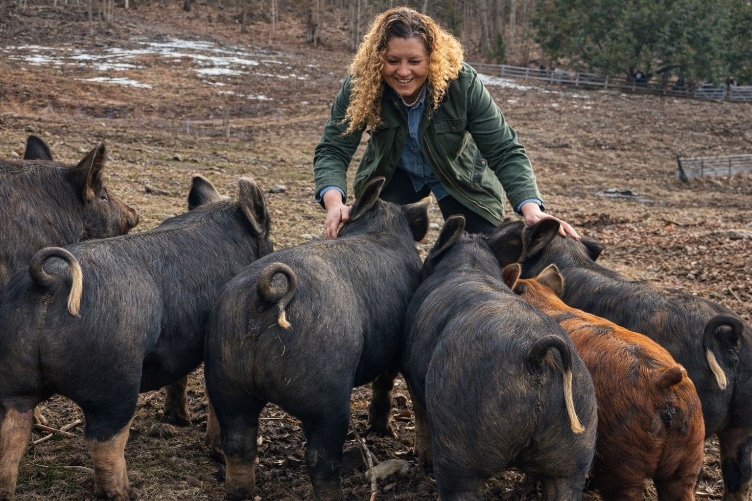 person standing with pigs