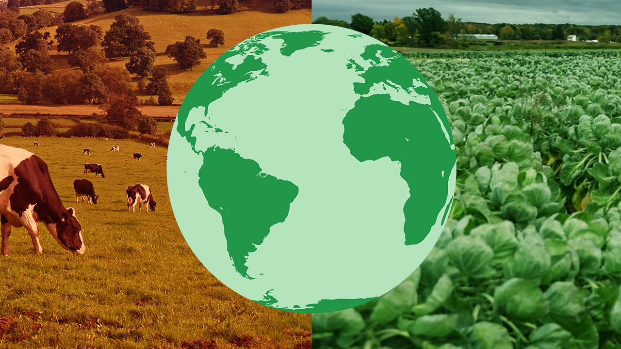 Illustration of the Earth in green with photo of cows grazing on the left side and crops on the right side