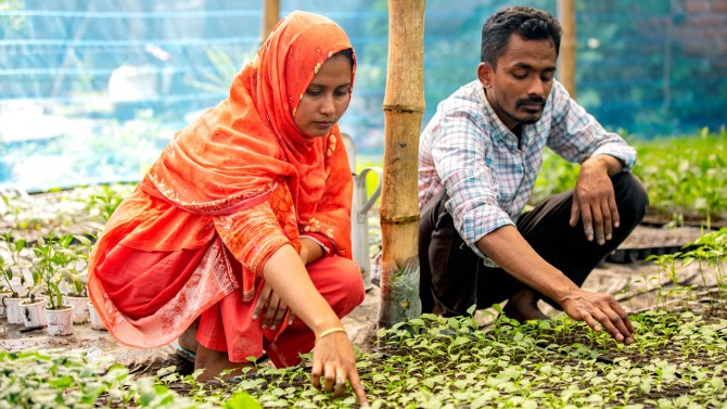 Moushumi Akhter, left, tends seedlings in her plant nursery with her husband.