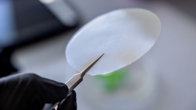 In the lab, biologically-derived polymer is grafted onto a plastic disc, to demonstrate how it may be used in food packaging.