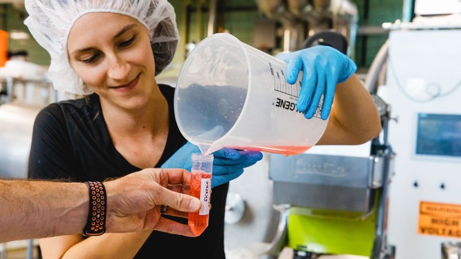 Doctoral student Libby Indemaur researches rhubarb juice.