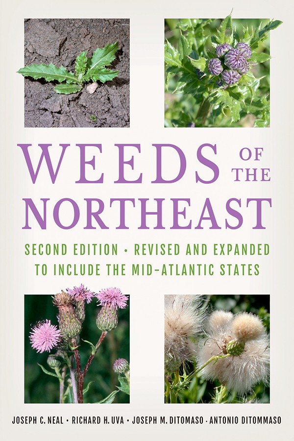 Weeds of the Northeast book cover