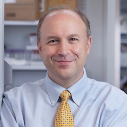 Collaborative faculty win Vaughn Award for cartilage research - Vimarsana News