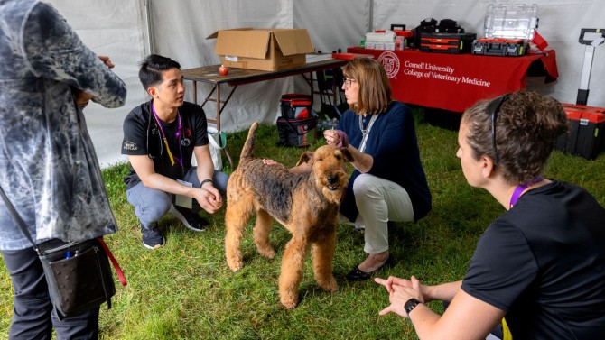 Trevor Chan, DVM ‘20, a resident in emergency and critical care at CUVS, discusses the health of an Airedale terrier with the dog’s owner.