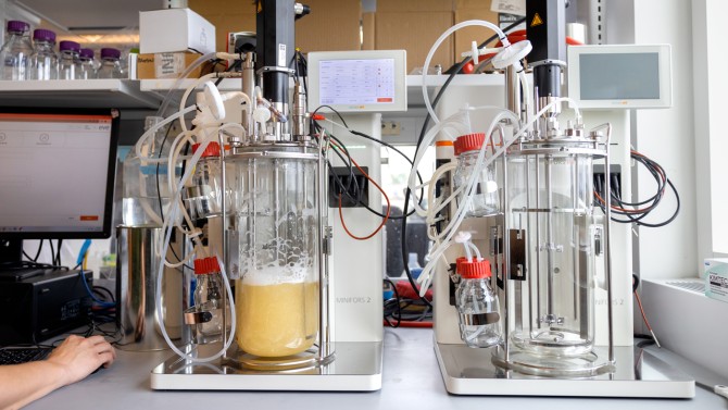 REEgen uses a bioreactor – a kind of fermentation apparatus – in the Barstow Lab, Center for Life Science Ventures, Weill Hall.