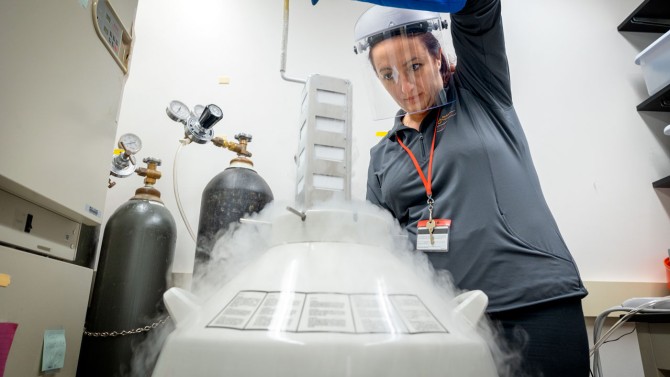 Postdoctoral researcher Jelena Lujic pulls frozen tissue samples from a liquid nitrogen freezer.