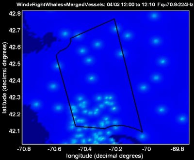 animation frame shows in color the loudness of calling right whales off the Cape Cod-Boston area