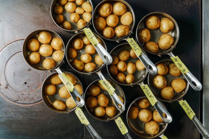 Abundance potato