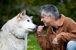 Ron Riddle with his adopted timber wold, Chance