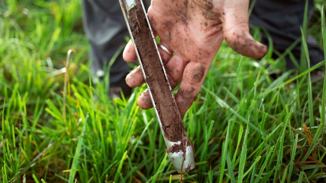 A soil sample with grass in the background