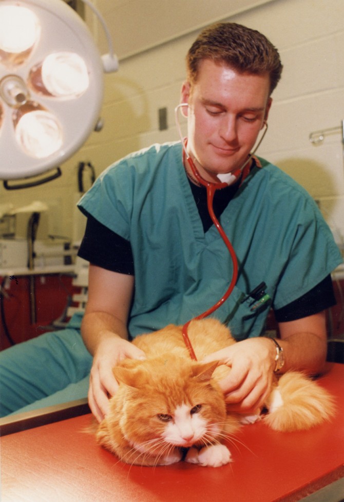 Nick Haley performas a thoracic auscultation for Oscar "the cat"