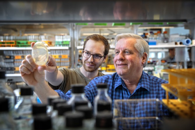 Scott Emr and Jeff Jorgensen examine a new yeast mutant