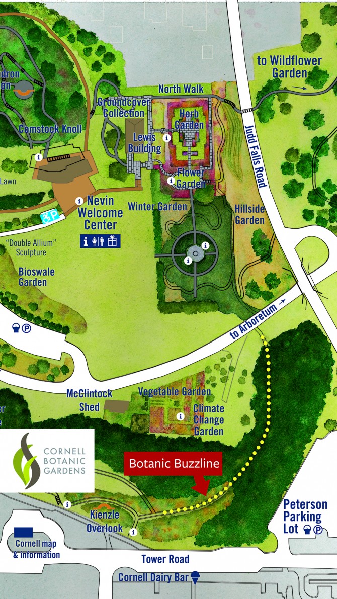 Botanic Buzzline map
