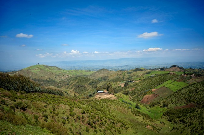 Ethiopia farms