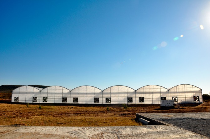 Go Fresh! greenhouses in Botswana