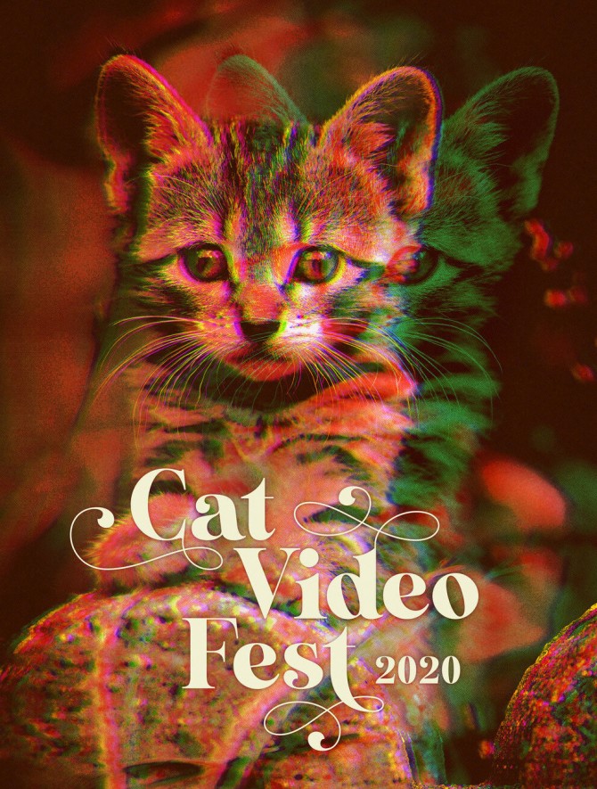 Cat videos poster