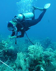 a diver in the Tropical Mariner Science program