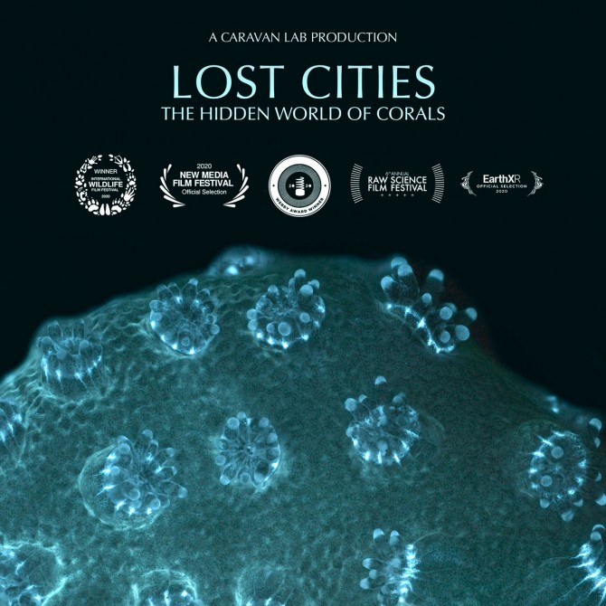 Lost Cities poster