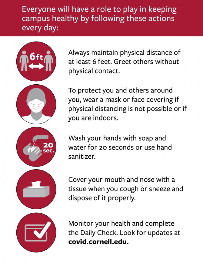 Graphic that says: Everyone will have a role to play in keeping campus healthy by following these actions every day:  Always maintain physical distance of at least 6 feet. Greet others without physical contact.  To protect you and others around you, wear a mask or face covering if physical distancing is not possible or if you are indoors.  Wash your hands with soap and water for 20 seconds or use hand sanitizer.  Cover your mouth and nose with a tissue when you cough or sneeze and dispose of it properly.