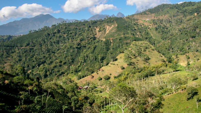 Nicaragua rainforest