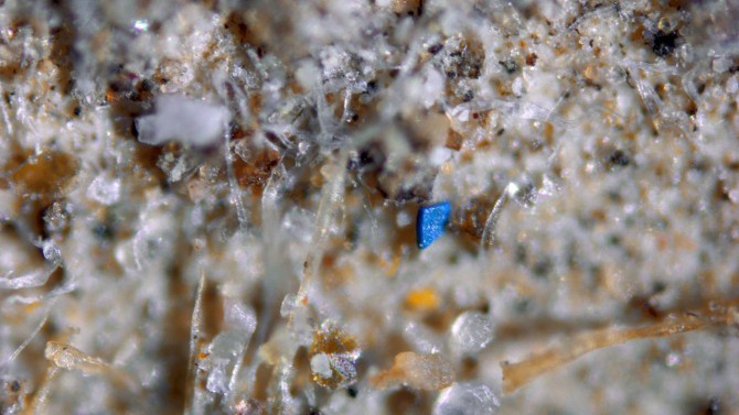 blue microplastic shard