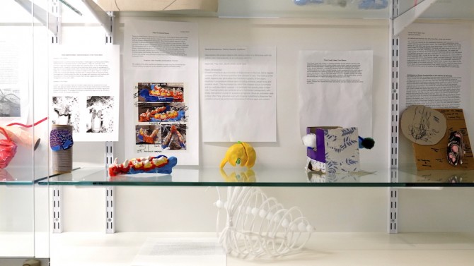 A display case showing several colorful homemade anatomy models, with a white Styrofoam and pipe cleaner set of ribs on the lower row