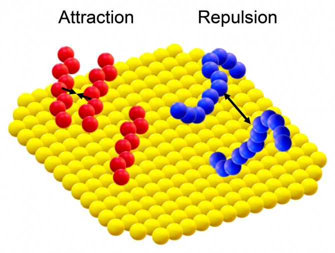 Newswise: Small Molecule Plays Outsize Role in Controlling Nanoparticle