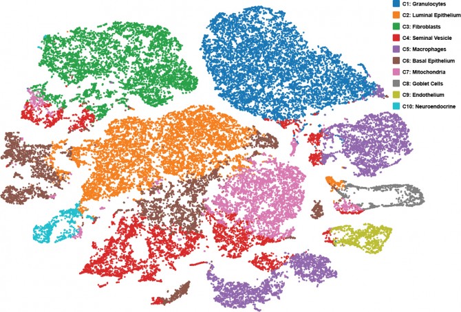 RNA sequencing map