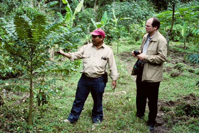 Two men look at a plant in a field