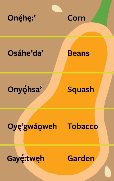 Plant names in the Cayuga language and in English.