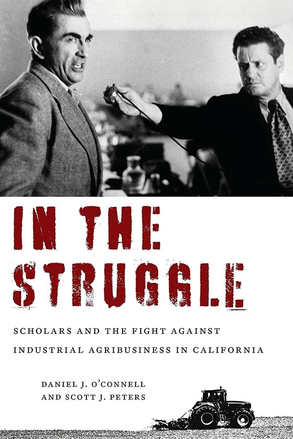 In the Struggle book cover