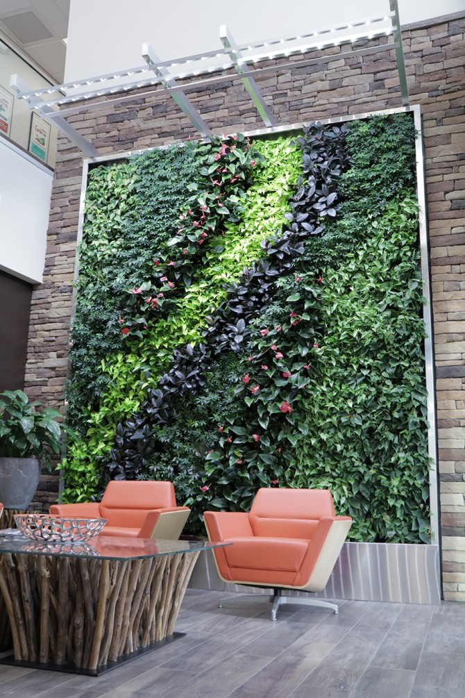 A plant wall in the Espoma Company office.