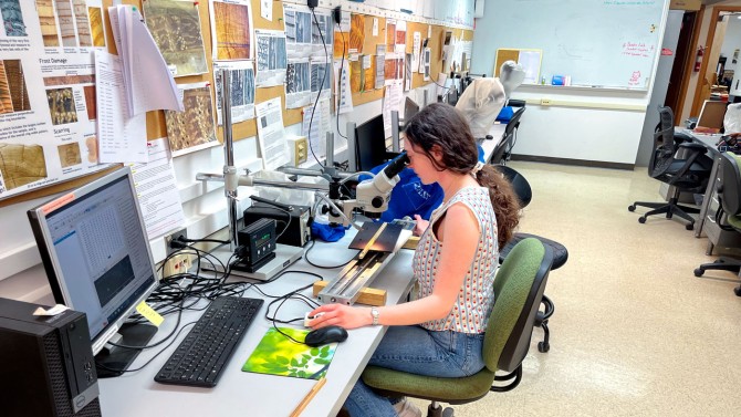 Madeleine Wenger looks through a microscope