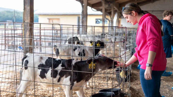 High school students get a tour of the Cornell University Rumininant Center in Danby, New York, as part of their training to work the State Fair Milk Bar.