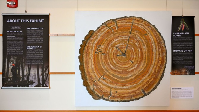 Tree Ring Soil Painting: One of the tree-ring, soil paintings made by students in the Earth Projects class.