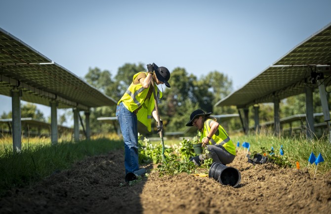 Graduate student Dana Russell (left) and extension associate Caroline Marschner, who co-leads the Cornell Agrivoltaics Research program, plant crops to study how they can flourish under solar panels.  